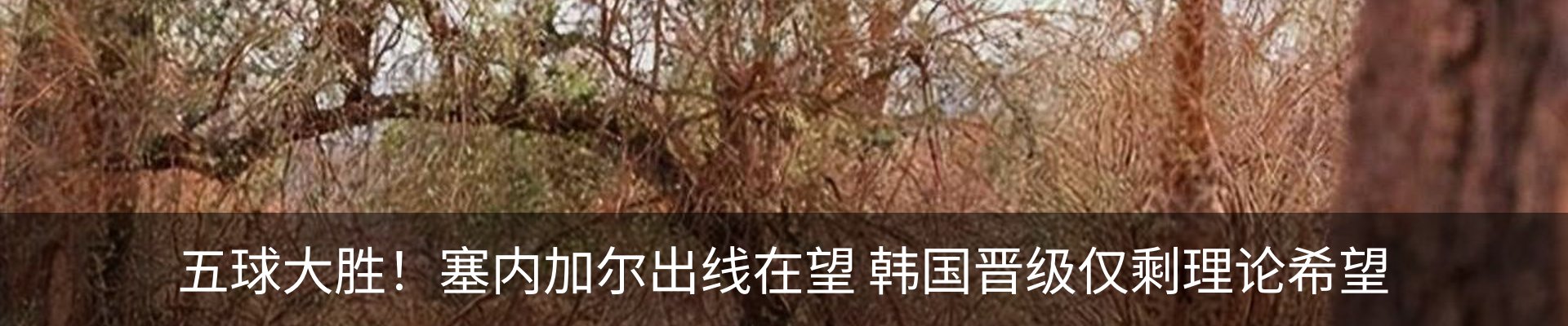 内页banner
